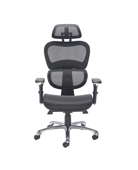 Chachi Mesh Office Chair